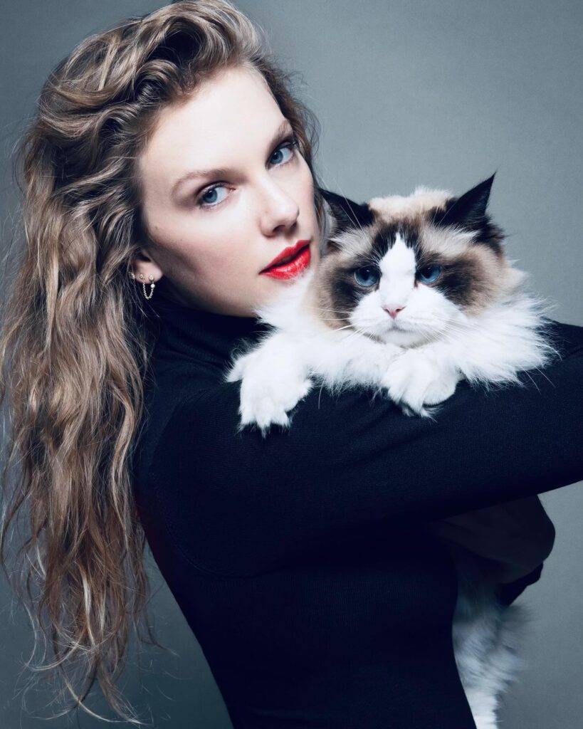 Taylor Swift: Age, Career, Net Worth & Marriage (2026)